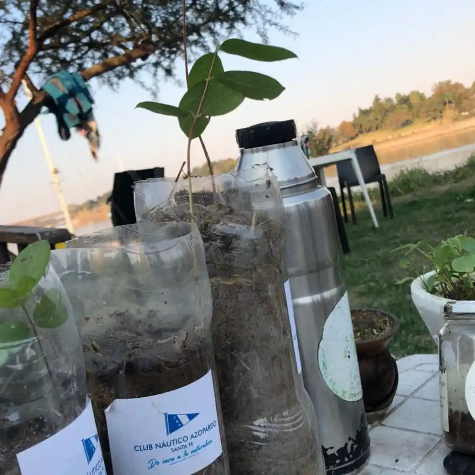 cuidado de la laguna Setubal